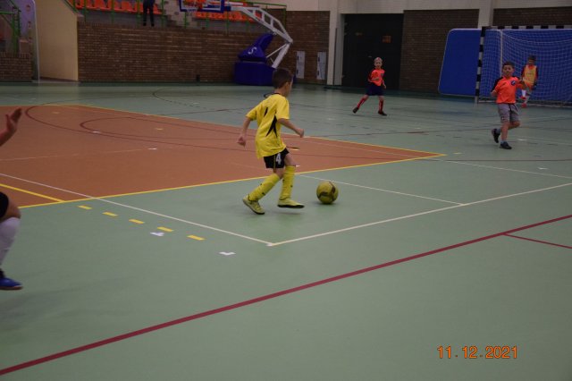 turmikol 31